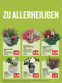 Feneberg Prospekt Seite 11