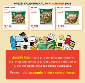 Volantino Tigre Pagina 11