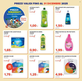 Volantino Tigre Pagina 26