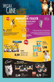 Volantino Famila | Animali Pagina 31