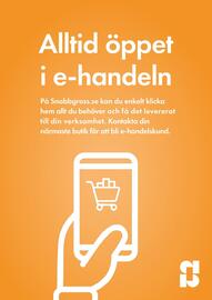 Snabbgross reklamblad Sida 15