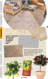 Hornbach Prospekt Seite 24