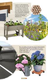 Hornbach Prospekt Seite 27
