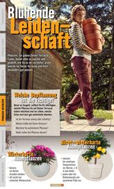 Hornbach Prospekt Seite 36