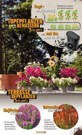 Hornbach Prospekt Seite 37