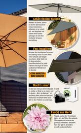 Hornbach Prospekt Seite 43