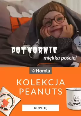 Homla gazetka (ważność do 31-10)