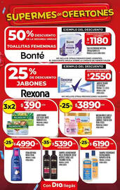 Folleto Supermercados DIA semana 42 Página 21