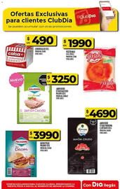 Folleto Supermercados DIA semana 42 Página 46