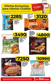 Folleto Supermercados DIA semana 42 Página 47