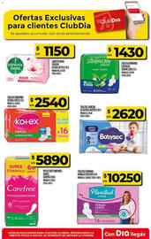 Folleto Supermercados DIA semana 42 Página 53