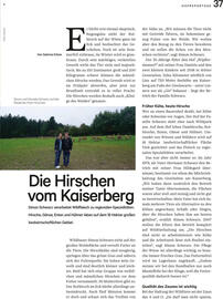 Lagerhaus Flugblatt Seite 37