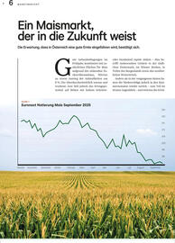 Lagerhaus Flugblatt Seite 6