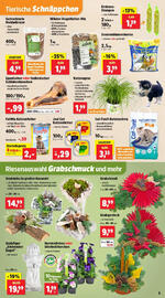 Thomas Philipps Prospekt woche 43 Seite 7