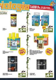 Volantino Zoomiguana Pagina 11