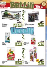 Volantino Zoomiguana Pagina 9