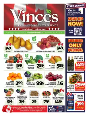 Vince's Market flyer (valid until 11-11)