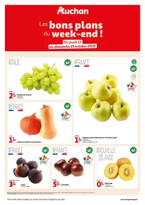 Auchan folder