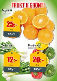 Extra Mjällby Stormarknad reklamblad vecka 42 Sida 13