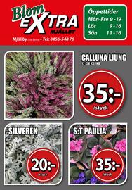 Extra Mjällby Stormarknad reklamblad vecka 42 Sida 20