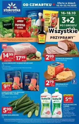 Stokrotka Optima gazetka (ważność do 22-10)