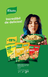 Catalog Selgros Pagină 19