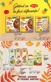 Catalog Selgros Pagină 21