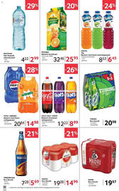 Catalog Selgros Pagină 24