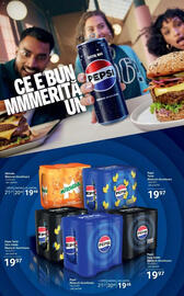 Catalog Selgros Pagină 25