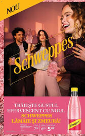 Catalog Selgros Pagină 27