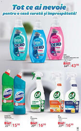 Catalog Selgros Pagină 31