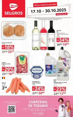 Catalog Selgros