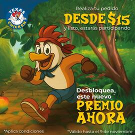 Catálogo Texas Chicken Página 1