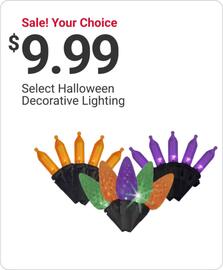 Ace Hardware flyer week 42 Page 13
