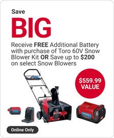 Ace Hardware flyer week 42 Page 3