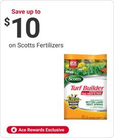 Ace Hardware flyer week 42 Page 6