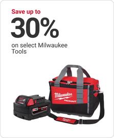 Ace Hardware flyer week 42 Page 9