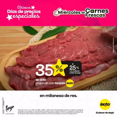 Catálogo Éxito (válido hasta 16-10)