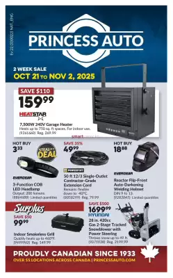 Princess Auto flyer
