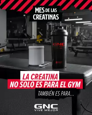 Catálogo GNC (válido hasta 31-10)