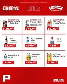 Catálogo Piantoni Supermayorista semana 42 Página 4