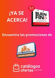 Buen Fin Folleto Chedraui Página 1