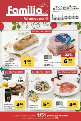 Folleto Autoservicios Familia (válido hasta el 29-10)