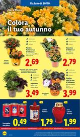 Volantino Lidl settimana 43 Pagina 40