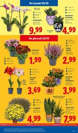 Volantino Lidl settimana 43 Pagina 41