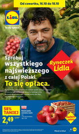 Lidl gazetka Strona 22