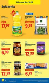 Lidl gazetka Strona 55