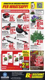 B1 Discount Baumarkt Prospekt woche 42 Seite 8