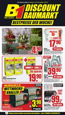 B1 Discount Baumarkt Prospekt (gültig bis 24-10)