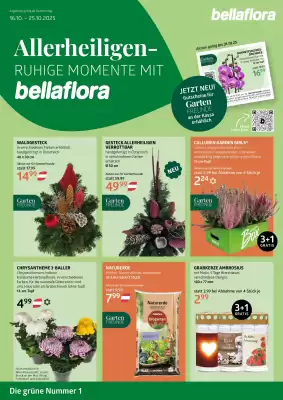 Bellaflora Flugblatt (gültig bis 25-10)